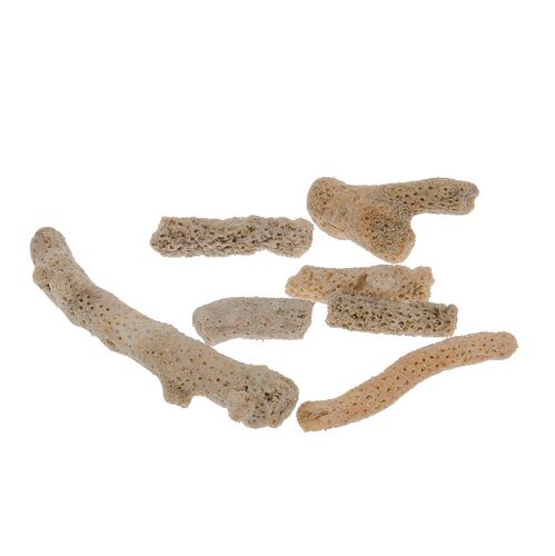 速发鱼缸净瑚石珊瑚骨滤材珊水族箱过滤材料PH值珊珊砂瑚瑚沙造景