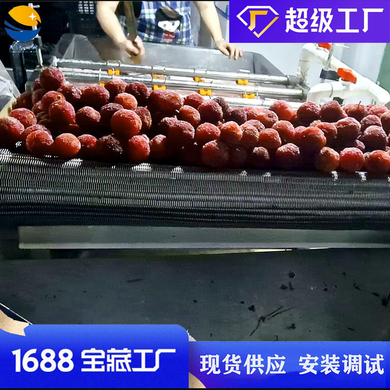 全自动杨莓清洗机 果蔬樱桃气泡清洗机 山楂果清洗加工设备