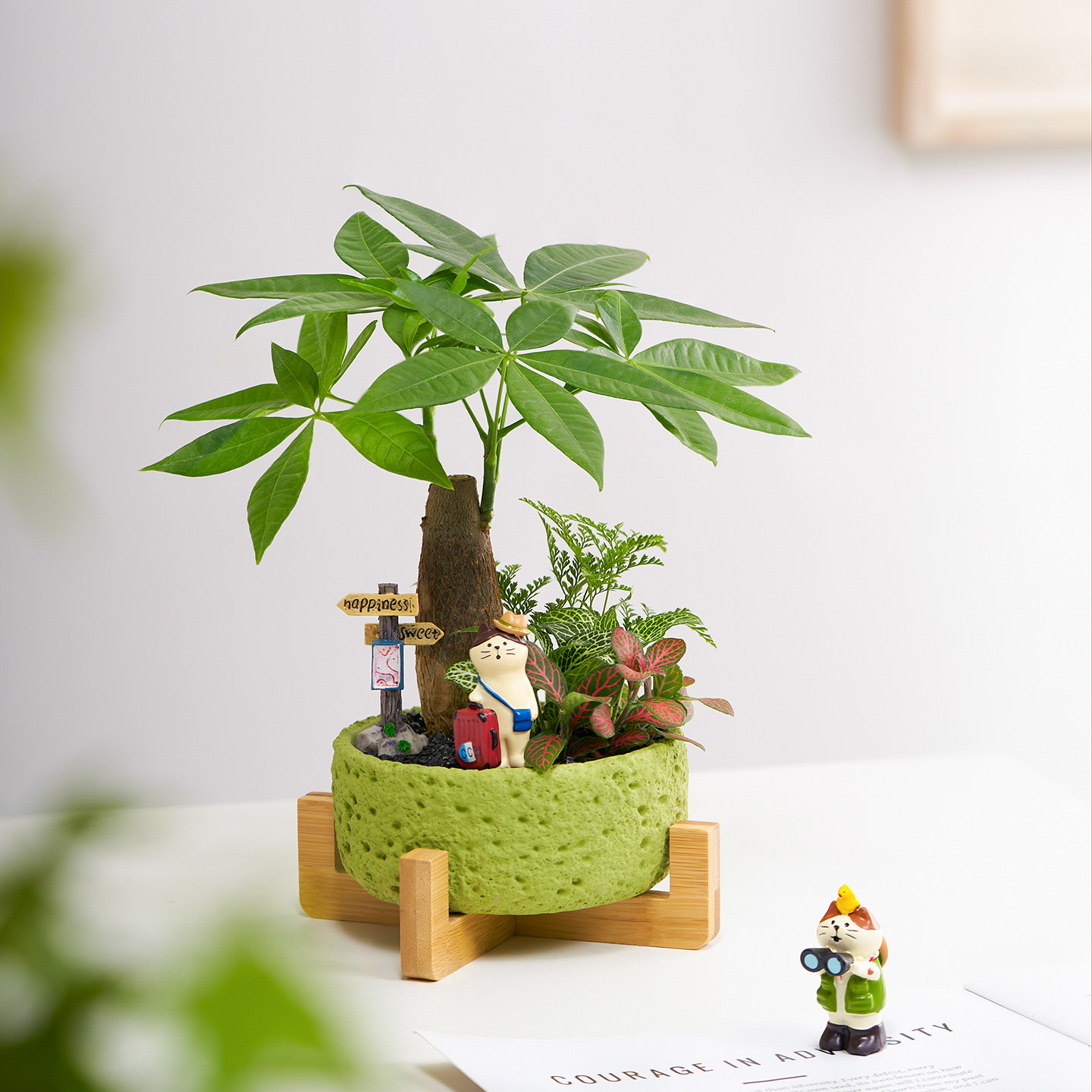 发财树盆栽招财绿植花卉办公室室内桌面好养盆景旺宅创意礼物摆件