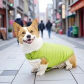狗狗冬季 衣服降温保暖羽绒棉衣服马甲双面好穿脱柯基中大型犬