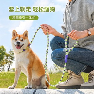 小体犬p绳训狗狗专用p链驯犬绳幼犬牵引遛小中型犬半宠物遛狗绳子