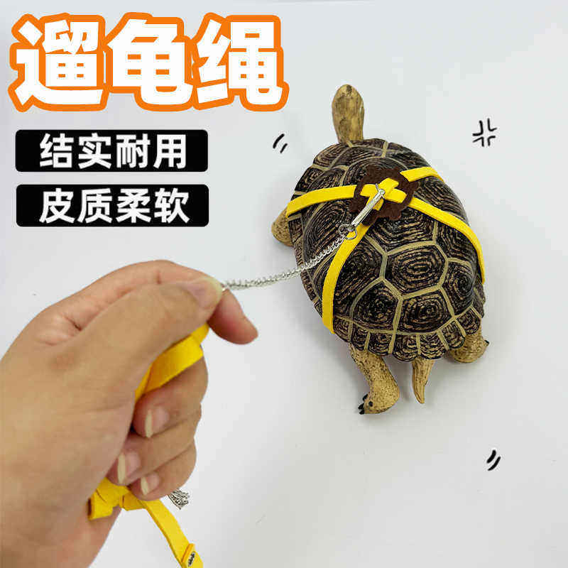 乌龟牵引绳溜龟绳陆龟宠物牵引背带可调节背心外出系套绑训练绳,宠物/宠物食品及用品,爬宠清洁及日用品,淘宝优惠券,粉丝福利购,淘宝优惠卷