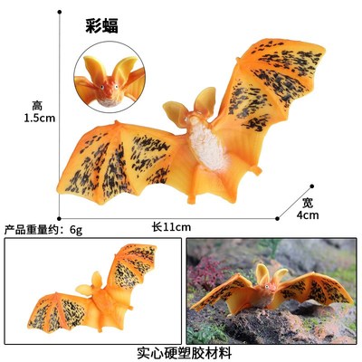 儿童认知仿真静态实心动物模w型玩具飞行动物彩蝠蝙蝠狐蝠手办摆