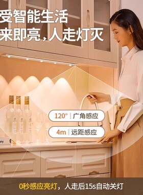 氛围灯LED宿舍床上用小灯寝室上铺好物小夜灯磁吸灯条夜间不插电