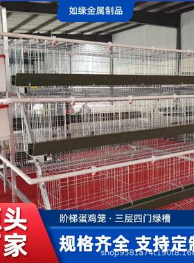 阶梯式三层四门绿槽蛋鸡笼养殖场专用养鸡设备高密度家禽养殖设备