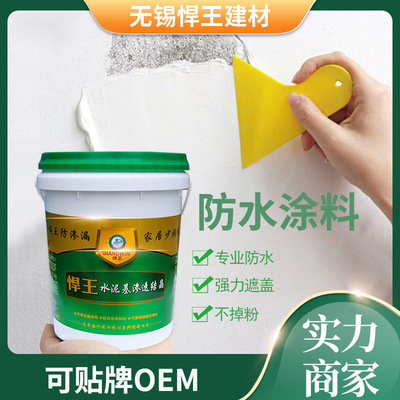 推荐水泥基防水涂料内外墙厨房卫生间管道防水涂料水泥基渗透结晶