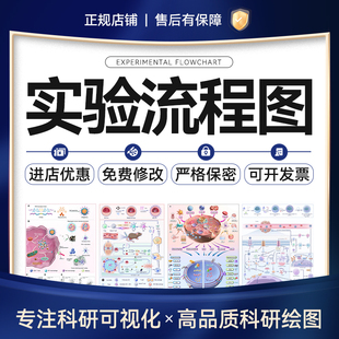 实验流程图科研绘图代画插图SCI期刊封面图建模医学类插画示意图