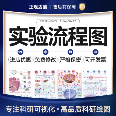 实验流程图科研绘图代画插图SCI期刊封面图建模医学类插画示意图