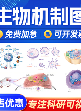 生物机制图SCI科研绘图医学信号通路插图建模设计流程图机制图TOC