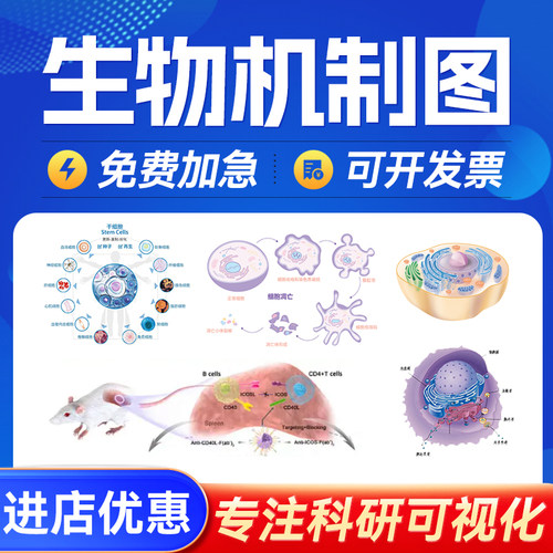 生物机制图SCI科研绘图医学信号通路插图建模设计流程图机制图TOC