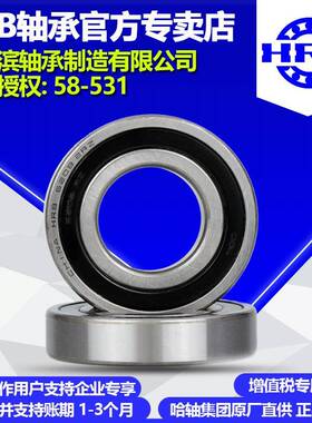 哈尔滨轴承6310-2ZZZ2RS2RZ开式及封闭轴承杭州公司直营