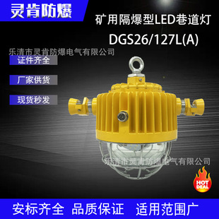 DGS24 矿用隔爆型LED巷道灯DGS18 DGS20 127L