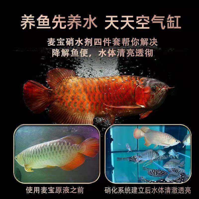 麦宝观赏鱼酸奶鱼缸用酸奶水质稳定剂水族用品鱼益生液水质稳定剂