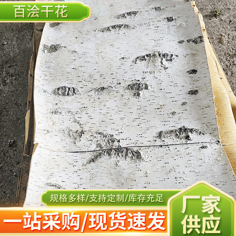 天然白桦树皮白桦树皮家居装饰用DIY花材道具摄影背景桦树皮批发