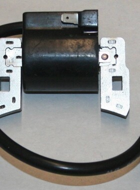 BS 397358 298316 395491 697037 395490 高压包点火线圈点火器