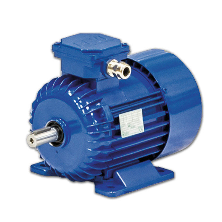 奥地利FFD电机2SIE系列2SIEK 132S/4