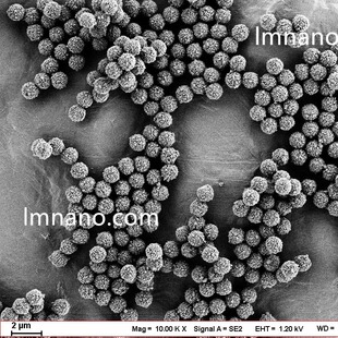 1um 羧基化磁性微球 羧基磁珠 10mg/ml