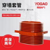 24Q 24kv中置柜穿墙 175 TG3 255穿墙套管 20kv 柜 套管
