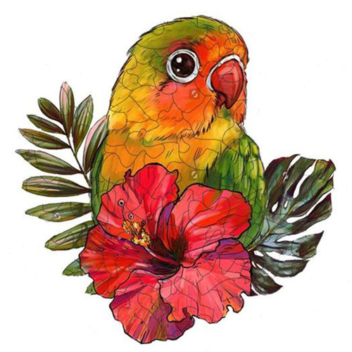 好货New Wooden Jigsaw Puzzles Colorful Fairy Bird Phoenix Pu
