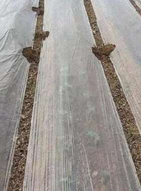 极速新品用农黑膜除草整卷农膜膜膜地面黑白色果园防雨淋大棚薄农