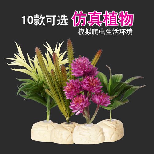 好货诺摩多种类装饰性造景仿真植物爬宠陆龟蜥蜴变色龙蛇爬虫雨林