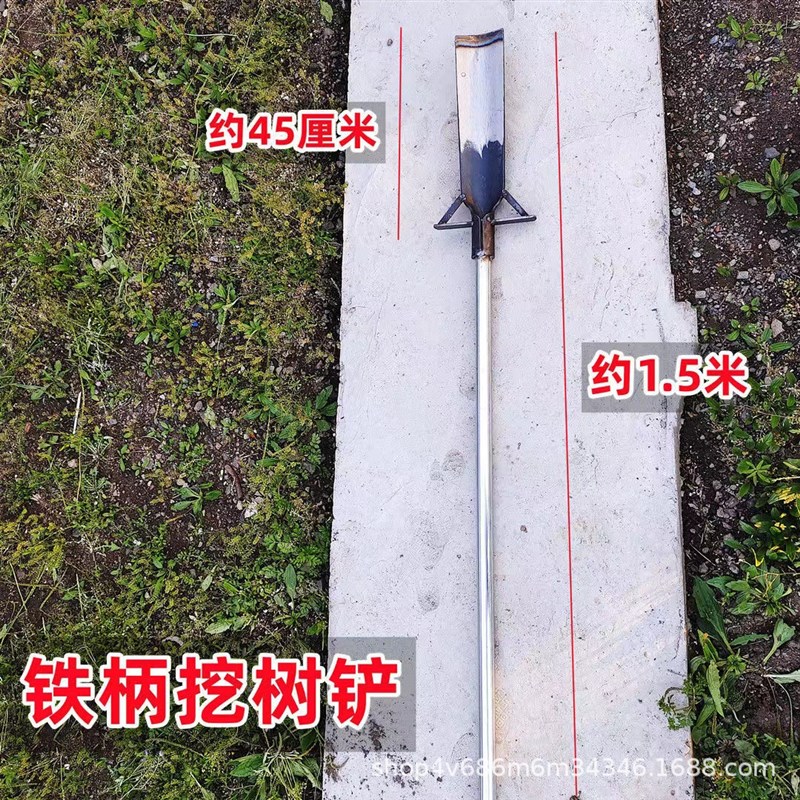 全钢挖树洛阳铲起苗器铲子铁锹打洞取土挖土农用神器打井工具