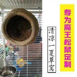 魔王松鼠窝夏天挂式 金花降暑幼崽大号防咬 四季用品树洞冬天保暖