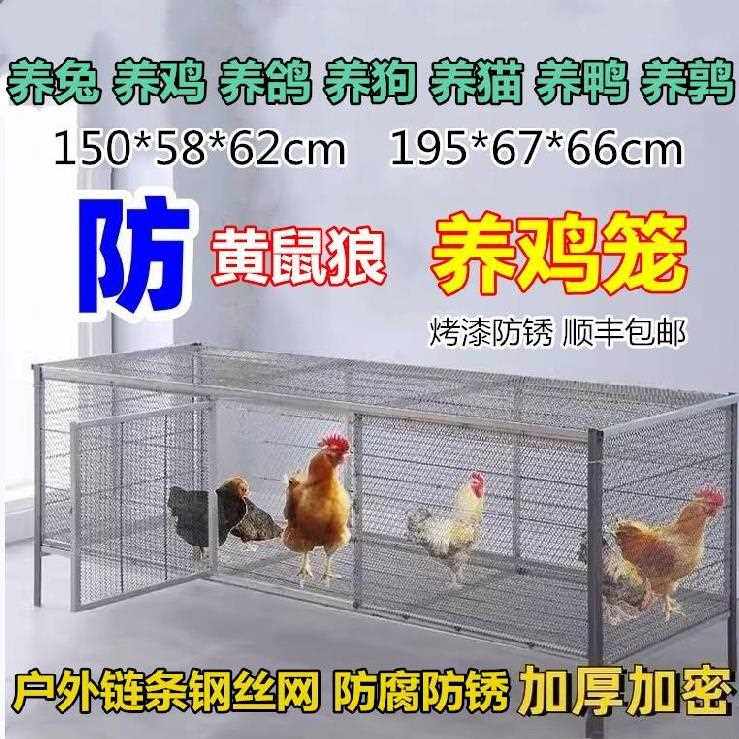 芦花鸡笼子铁丝笼农村195cm鸡聋鼠难咬鸟笼工艺缝隙150cm阳台铁笼
