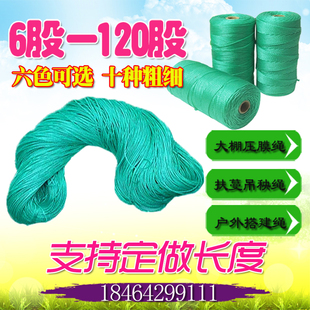 爬藤吊秧绳吊蔓绳蔬菜瓜果爬藤网爬藤绳 大棚塑料绳子吊绳打草帘