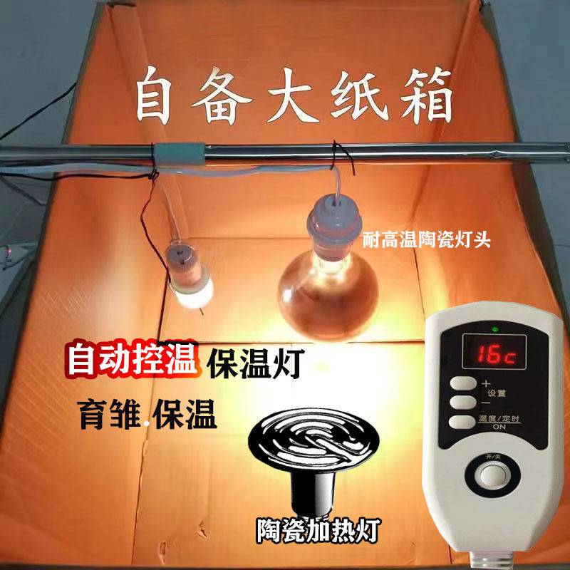 芦丁鸡保温灯自动温控器恒温灯取暖灯养殖箱育雏灯小鸡加温加热灯