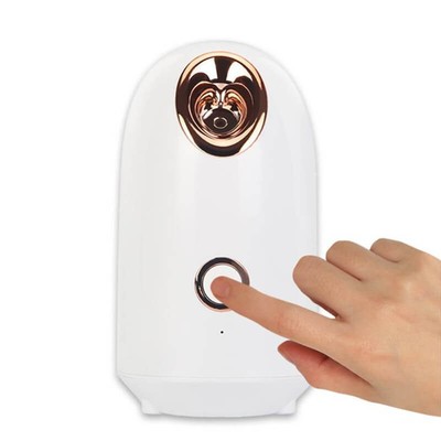 Face Steamer Nano Ionic Facial Sauna Spa Moisturizing Cleans