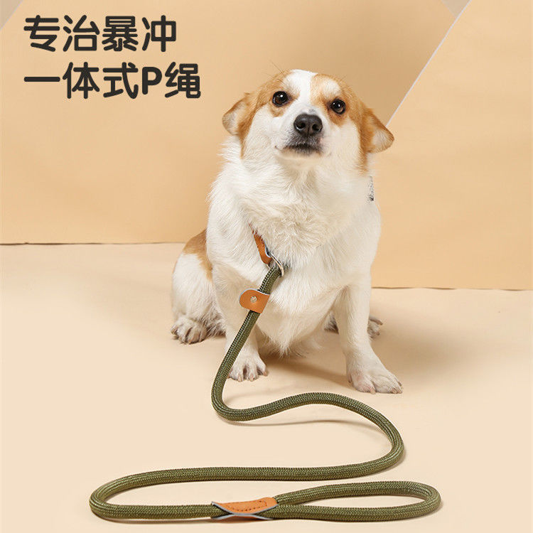 狗绳狗链子防爆冲p链加长加粗溜狗训练牵引带小中大型犬牵引绳