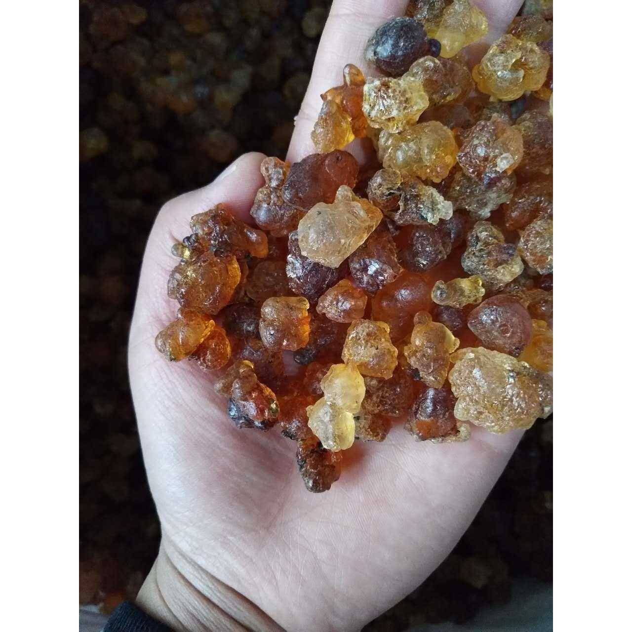 桃胶500g 桃胶 食用桃花泪 雪燕皂角米伴侣散装桃胶