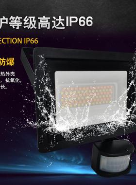 新款直销跨境新款pir人体红外感应遥控版可调光调色户外防水人感