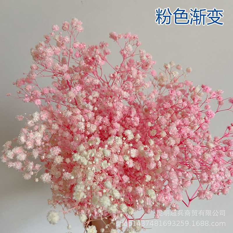 新款直销【A级漂白满天星】纯白色永生满天星装饰花束DIY材料花头