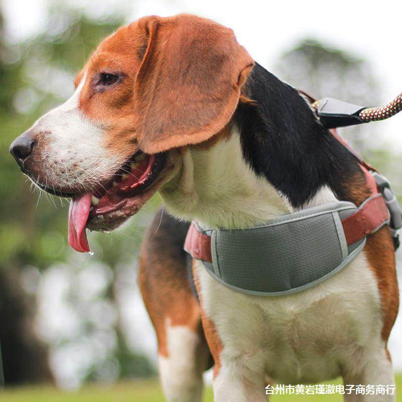 新款直销夏季溜狗狗牵引绳小型犬背带式胸背带三角形大型犬背心式