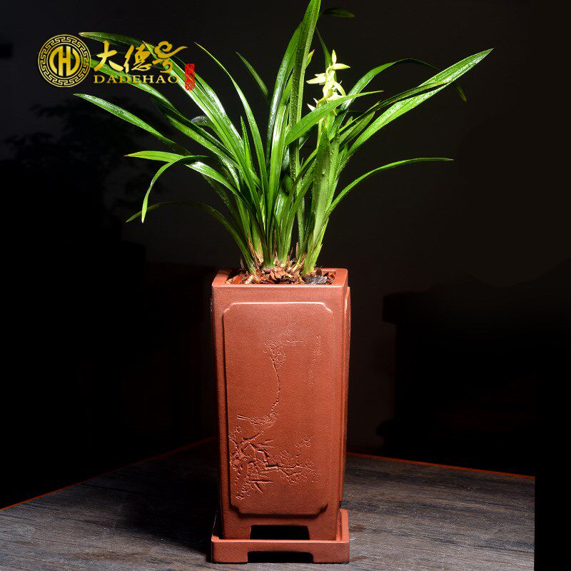 奎面四方形紫砂兰花盆陶瓷透气盆栽绿植带托盘兰草吊篮兰花盆专用