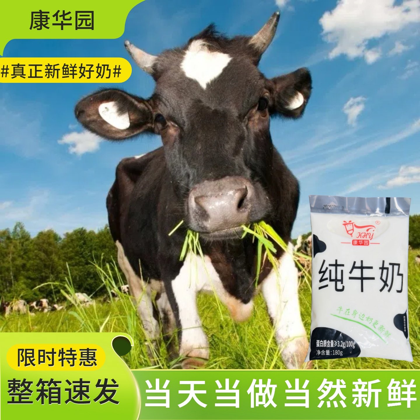 康华园纯牛奶整箱装学生营养早餐