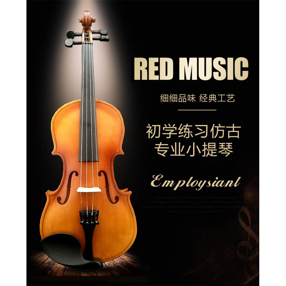 小提琴初学者成人儿童专业级演奏实木学生入门1/2/3/4/1/81/44/4