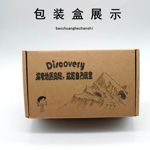考古挖掘4种牙齿化石沧龙牙鲨鱼牙古生物化石标本儿童礼物