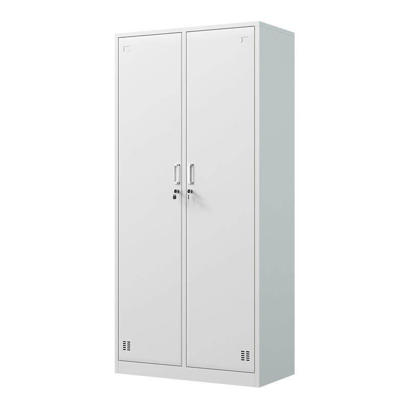 办公室二门员工更衣柜铁皮柜子2门储物柜带锁健身房3门浴室换衣柜