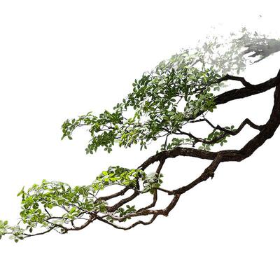 仿真精品倒挂海岛春花绿植造景室内橱窗植物景观装饰树悬挂花艺