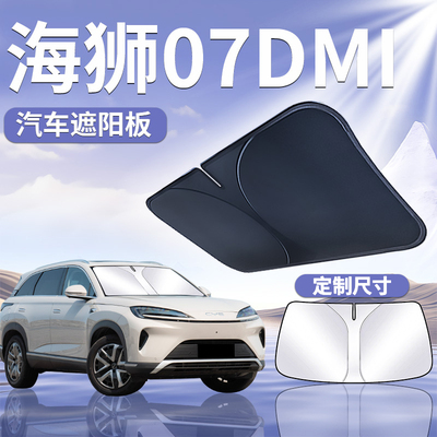 [海狮07DMI]汽车定制遮阳板