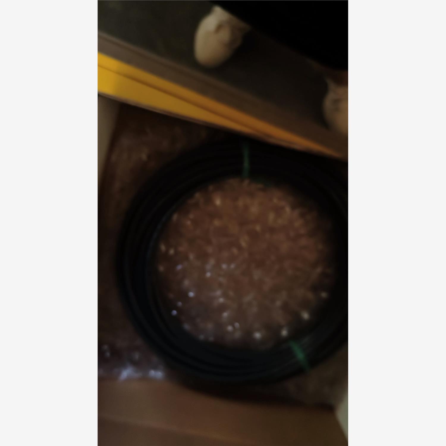 询价赛默飞APEC75预连接光缆，型号Fastconnect S现货