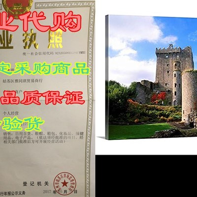 Blarney Castle, County Cork, Ireland Canvas Wall Art Prin