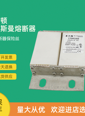 全新8快速熔断器保险17M1852 170M1153 0170M1860 170M84796961