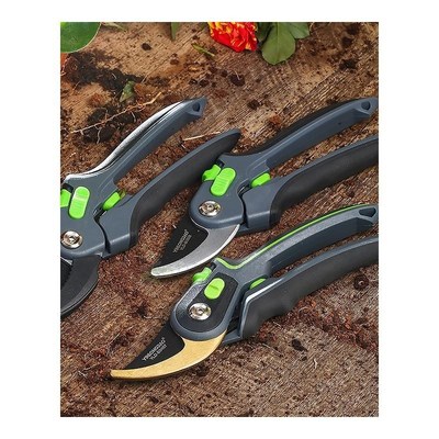 Plant trim horticulture Hand pruner cut secateur Shrub Garde