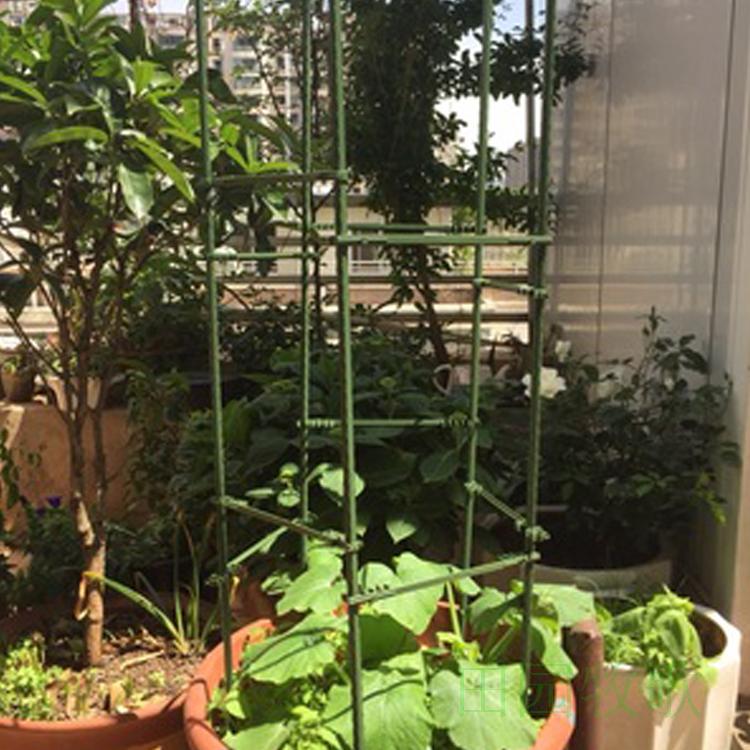 番茄黄瓜爬藤架子花支架月季花架园艺西红柿支撑杆植物攀爬架包邮
