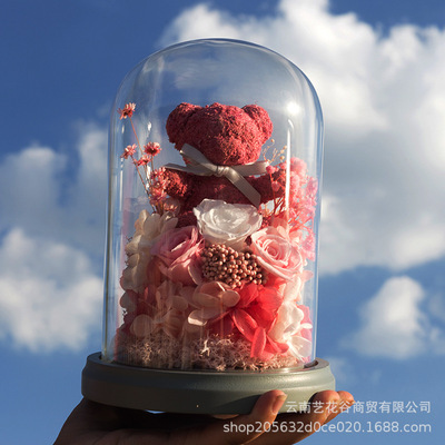 永生苔藓爱尼熊玻璃罩小夜灯七夕节礼物 教师节礼物 送朋友长辈