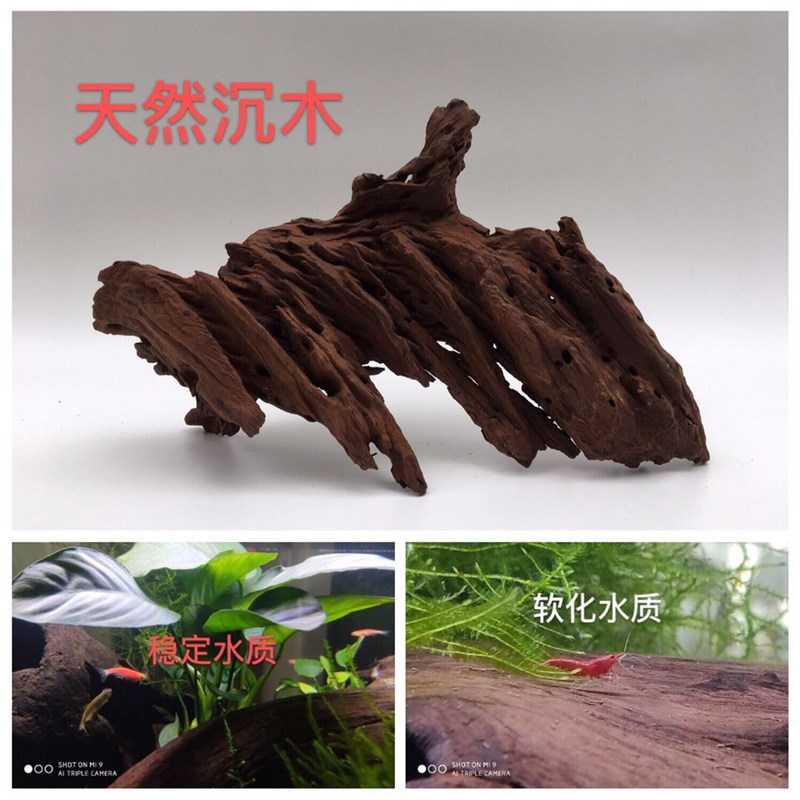 沉木天然紫柚沉木乌龟晒背台沉木造景木水草缸龟缸沉木虾木蜂窝木